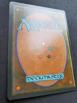 Halls of Mist - Ice Age *NM-LP* Near Mint MTG - Image 4