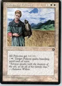 Soraya the Falconer R Homelands MP - Image 1