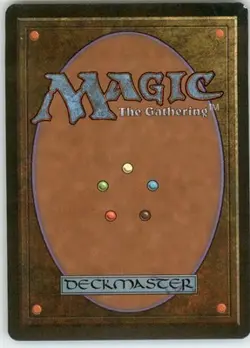 Soraya the Falconer R Homelands MP - Image 2