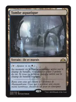 French Watery Grave Tombe aquatique 259 Guilds of Ravnica NM - Image 1