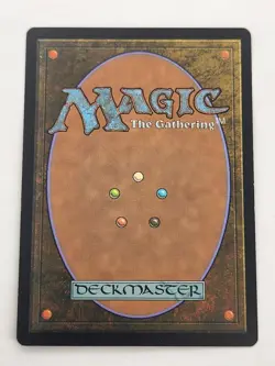 Core Set 2010 (M10) - Soul Warden (34, LP) Common White Creature - Image 2