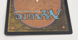 Core Set 2010 (M10) - Soul Warden (34, LP) Common White Creature - Image 5