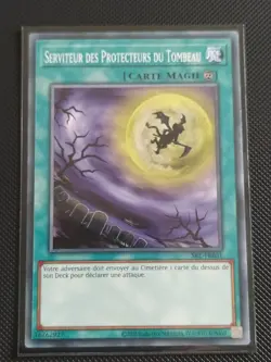 Yu-Gi-Oh ! - Serviteur des Protecteurs du Tombeau - SRL-FR031 - Commune - Image 1