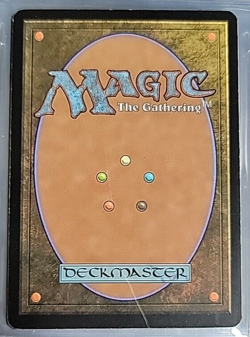 MTG Adarkar Wastes Tenth Edition 347/383 Regular Rare - Image 2
