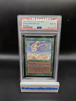 Shanodin Dryads - Alpha - MTG - PSA 8 GRADED - Image 1