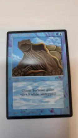 Giant Tortoise Arabian Nights Regular - Image 1