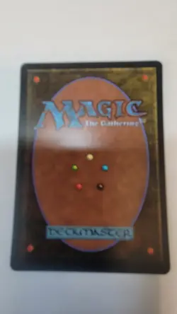 Giant Tortoise Arabian Nights Regular - Image 2