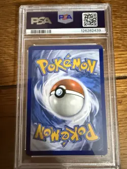 Pokemon 2023 Wartortle Illustration Rare Holo Scarlet & Violet 151 #171 PSA 8 - Image 2
