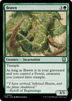 Brawn 224 NM Near Mint M3C Modern Horizons 3 Commander Magic MTG - Image 1