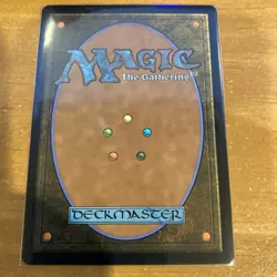 MTG Meticulous Archive (Borderless) Murders at Karlov Manor Regular LP #328 - Image 2