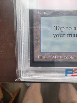 Magic: the Gathering Island 1993 MtG CE PSA 9 WOTC - Image 5