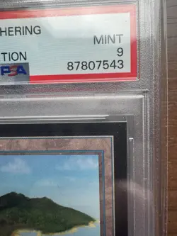 Magic: the Gathering Island 1993 MtG CE PSA 9 WOTC - Image 3