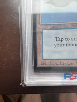 Magic: the Gathering Island 1993 MtG CE PSA 9 WOTC - Image 5