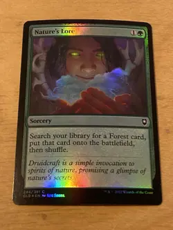 Nature's Lore FOIL #244 - Battle for Baldur's Gate - C / NM / MTG - Image 1