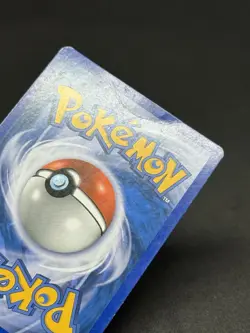 Turtwig Pop Series 6 Promo Holo Pokemon TCG Card 17/17 - Image 5