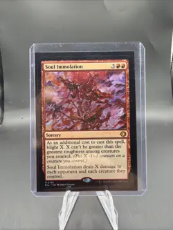 Soul Immolation 0156 Lorwyn Eclipsed Magic The Gathering MTG - Image 1