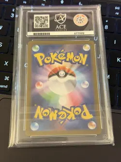 ACE 10 Palafin ex 207/187 Terastal Festival ex sv8a Gem Mint Pokemon - Image 2