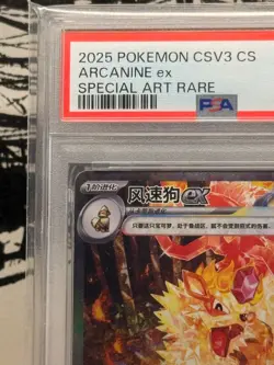 Arcanine Ex #155/130 Exclusive Art Fearless Terastal Pokemon PSA 10 2025 Chinese - Image 2