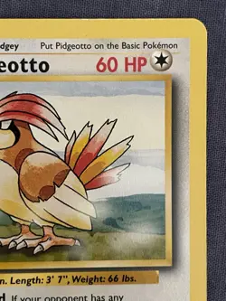 Pokemon Pidgeotto 22/102 WotC Base Set Unlimited Rare Card TCG Vintage Non Holo - Image 3