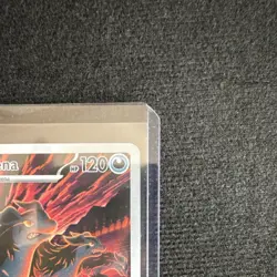 Pokemon Mightyena ASC EN 243/217 Rare Holo Stage 1 Wolf HP 120 2026 EN - Image 4