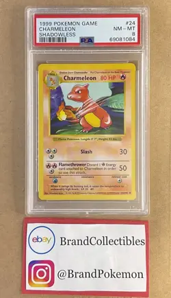 Shadowless Charmeleon PSA 8 | Base Set 24/102 Regular Uncommon Pokemon TCG - Image 1