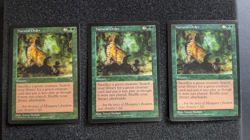 Natural Order Visions Regular - Image 1
