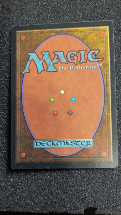 Natural Order Visions Regular - Image 2