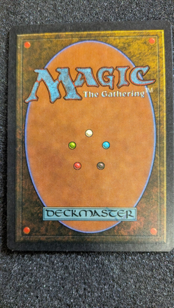 Natural Order Visions Regular - Image 3