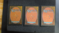 Natural Order Visions Regular - Image 4