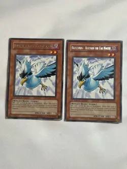 Yugioh Blackwing - Blizzard the Far North x2 RGBT-EN010 Rare 1st Edition LP - Image 1
