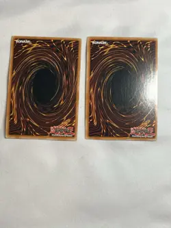 Yugioh Blackwing - Blizzard the Far North x2 RGBT-EN010 Rare 1st Edition LP - Image 2