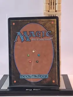 The Cabbage Merchant - Extended Art #203 - Avatar: Eternal - NM MTG - Image 2