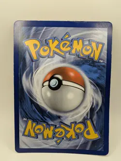 Charizard & Braixen GX Black Star Promo SM230 Jumbo Card Holo - Pokemon TCG 2019 - Image 4