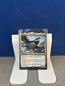 Shabraz, the Skyshark - Image 1