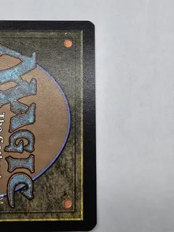 MTG - Ajani, Outland Chaperone - Borderless Mythic #284 Lorwyn Eclipsed NM - Image 3