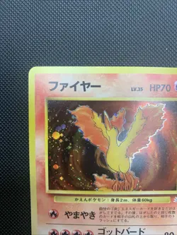 Moltres Pokemon Card Japanese No.146 Holo Fossil Set 1996 [NM] - Image 2