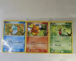 Pokemon First Partner JUMBO 3x Hoenn Starters Torchic Treecko Mudkip - Image 1