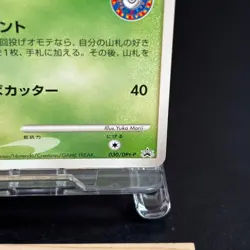 Bulbasaur 030/DPt-P Pokemon Center 10th anniversary Promo Card 2009 LP - Image 5