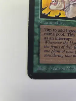 Llanowar Elves Alpha HP MTG - Image 3