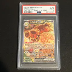 Dachsbun EX | PSA 9 | 169/142 | Stellar Crown | SIR | Pokemon TCG - Image 3