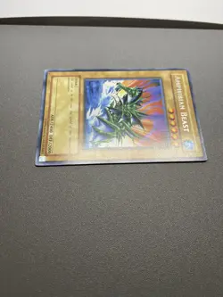 Yu-Gi-Oh! Amphibian Beast Rare Unlimited LON-008 HP - Image 5