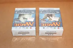 MTG Coldsnap. New/Factory Sealed. Aurochs Stampede and Beyond the Grave Packs - Image 3