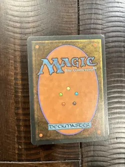1995 Magic The Gathering 44 Land Cards Used - Image 5