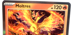 Pokemon Moltres Rare + FREE extra Rare card! - Image 2