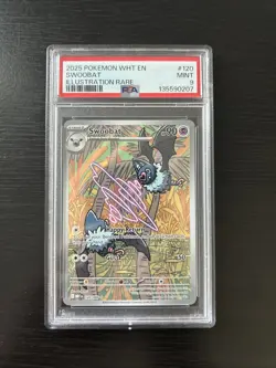 Pokemon Swoobat 120/086 Sv: White Flare Illustration Rare Holo PSA 9 2025 EN - Image 1