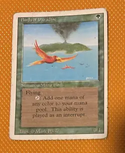 Birds of Paradise Revised Edition Regular - Image 1