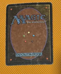 Birds of Paradise Revised Edition Regular - Image 2