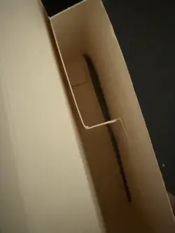 Pokemon 1999 Blackout Theme Deck WOTC 126 Total Card Base Set Chansey Coin Lot - Image 4