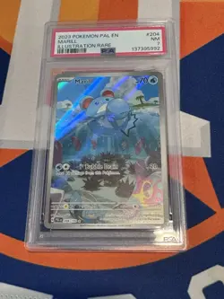2023 Pokemon TCG Marill #204 PAL Illustration Rare PSA 7 NM - Image 4