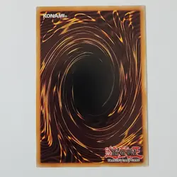 Skilled Dark Magician - YSYR-EN013 - NM/VLP - Common - Unlimited - Yugioh - Image 2